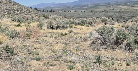 355 Shakehill Road, Markleeville, CA 96120 Photo