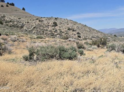 355 Shakehill Road, Markleeville, CA 96120 Photo