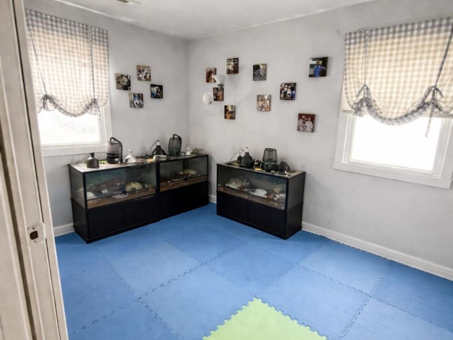 Property Image 14