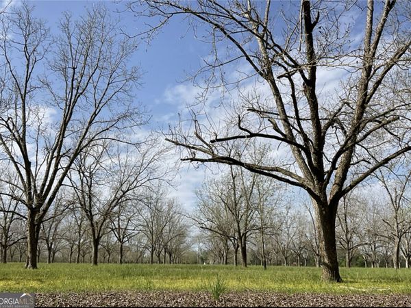 2797 Lake Lannell Road, Odum, GA 31555