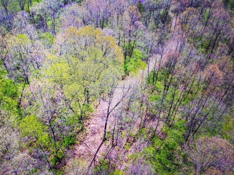 0 Carolina Trace Road, Harrison Twp, OH 45030 Photo 3