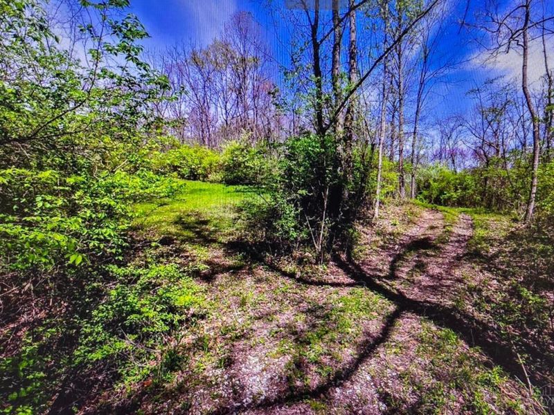 0 Carolina Trace Road, Harrison Twp, OH 45030 Photo 6