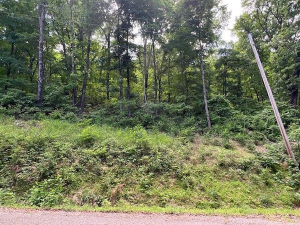 6 Wildcat Drive , Holiday Island, AR 72631