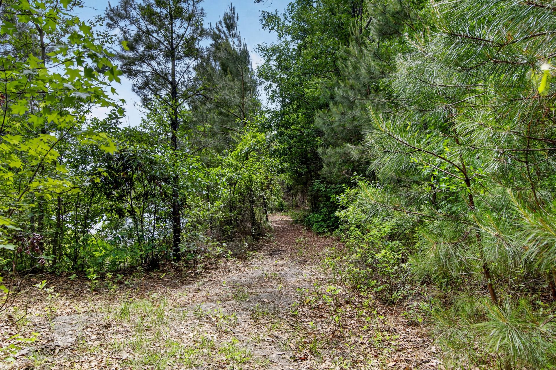 7089 Pumpkinseed Drive Photo 46