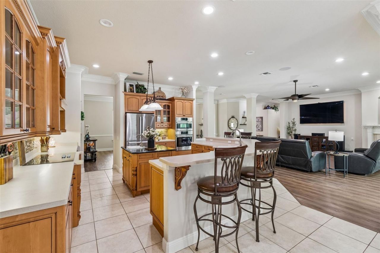 1349 Oak Meadow Point, New Port Richey, FL 34655 Photo