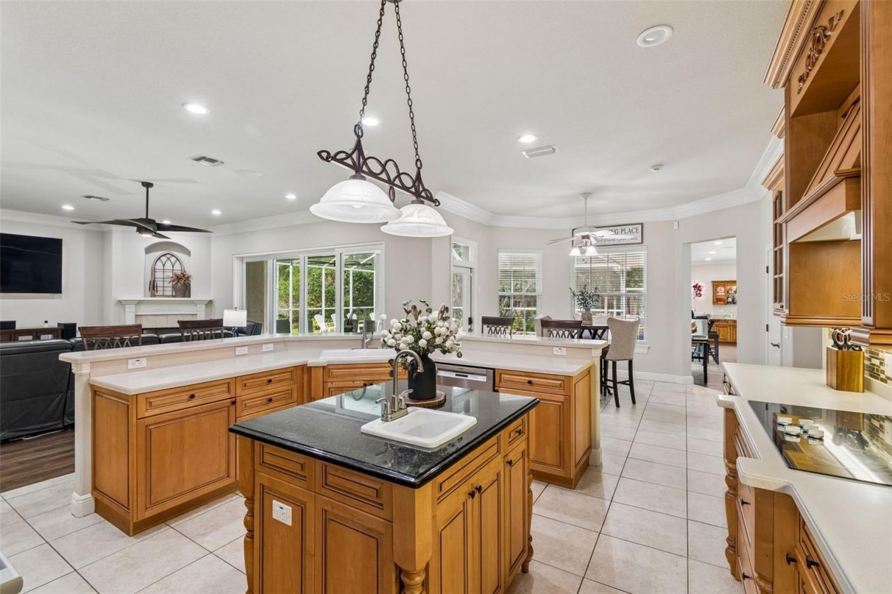 1349 Oak Meadow Point, New Port Richey, FL 34655 Photo