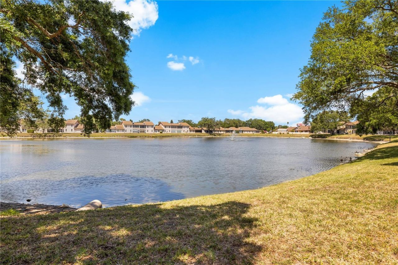 3801 Sailmaker Lane, Holiday, FL 34691 Photo