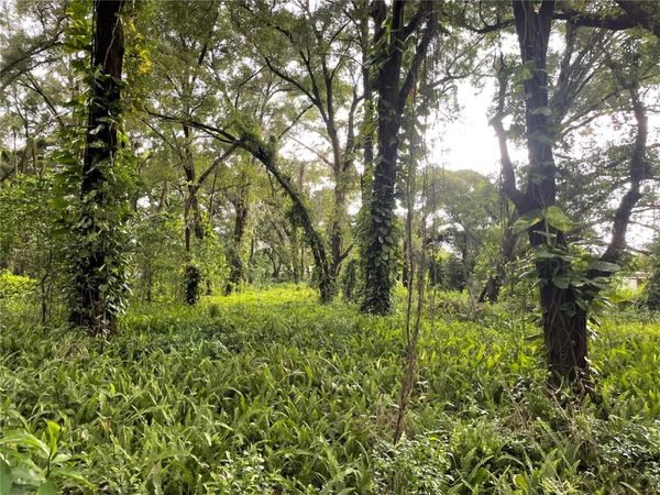 1010 N PARSONS AVENUE , SEFFNER, FL 33584