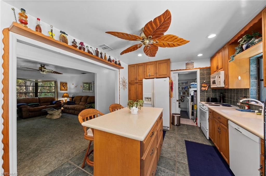1090 13th St Sw, Naples, FL 34117 Photo