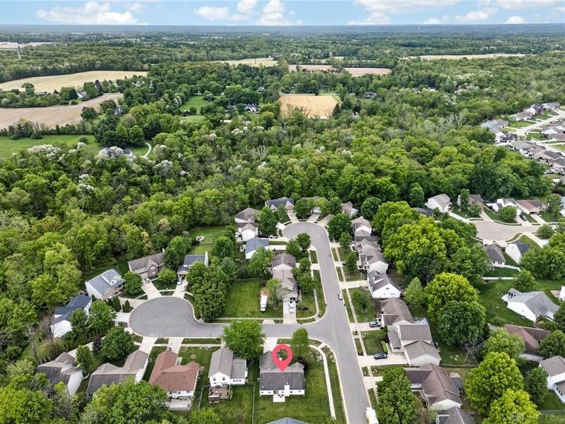 898 Pine Needle Place, Hamilton Township, OH 45039 Photo 40