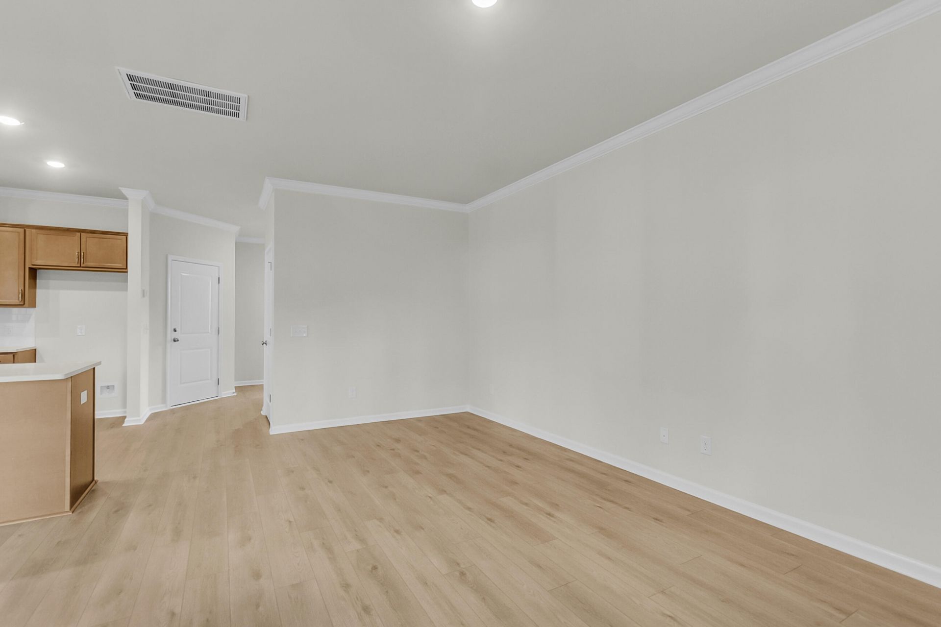 229 Central Creek Drive Photo 15