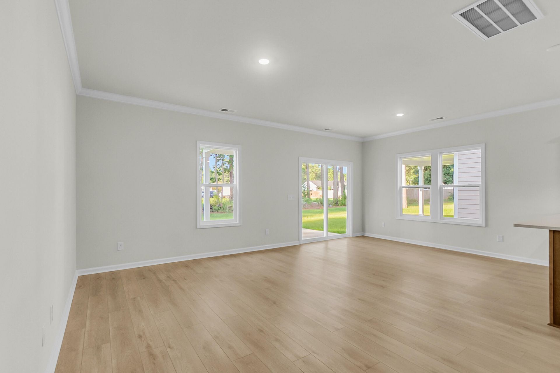 229 Central Creek Drive Photo 17