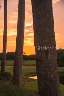 6509 Grand Estuary Trail, Unit 208, Bradenton, FL 34212 Photo