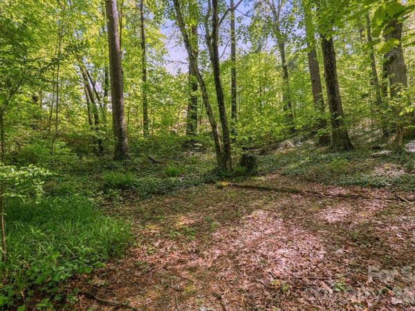 000 Skyline Drive, Hendersonville, NC 28791