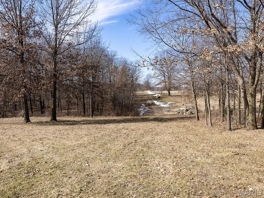 Property Image 57