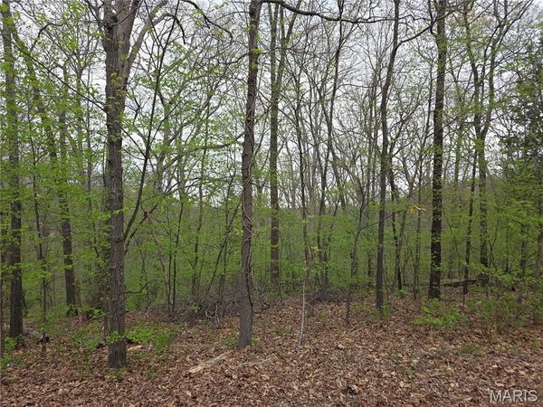 19227 Melrose Road , Glencoe, MO 63038