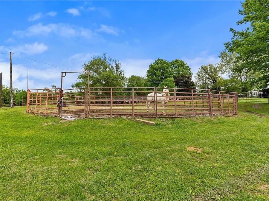 Property Image 41