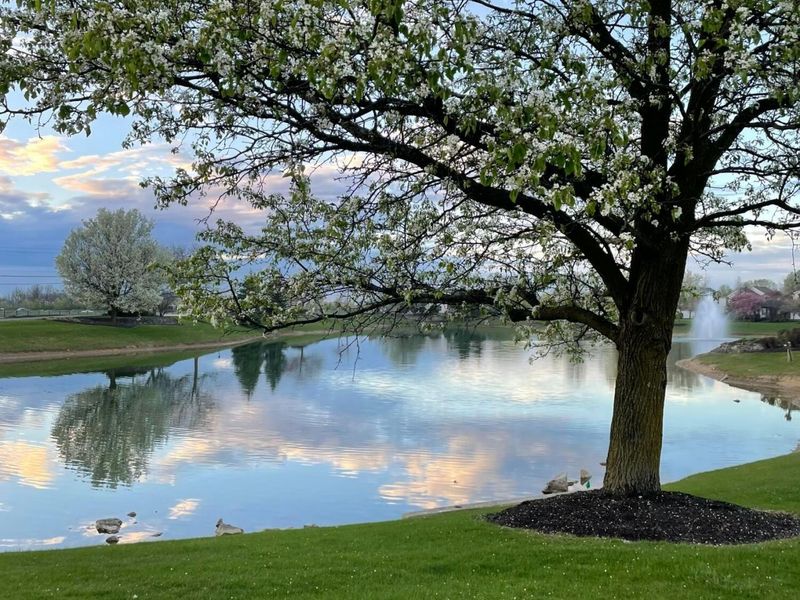 5870 Coldcreek Drive, Hilliard, OH 43026 Photo 57