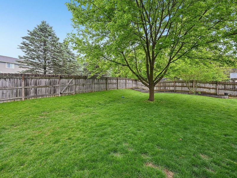 569 Meadows Boulevard, Pickerington, OH 43147 Photo 35