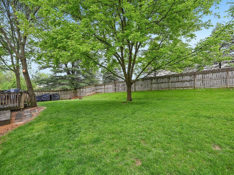 569 Meadows Boulevard, Pickerington, OH 43147 Photo 36