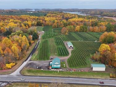 5630 Norris & Rt 104 Road, Wolcott, NY 14590