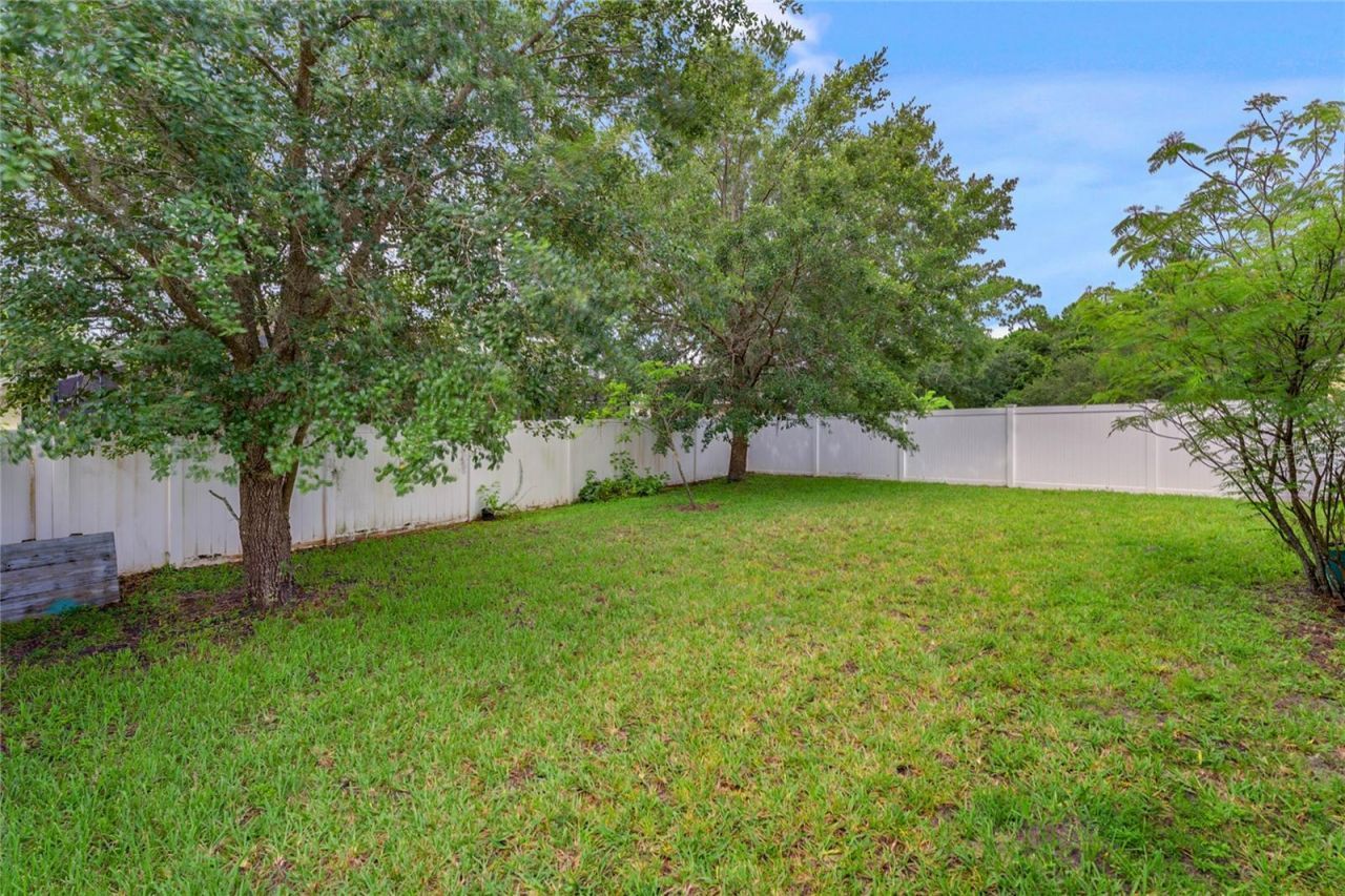 8116 Tumeric Court, Orlando, FL 32817 Photo