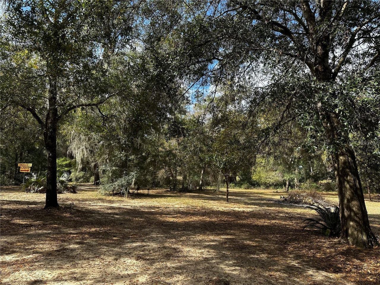 12212 NE 238th Terrace , Salt Springs, FL 32134 Photo