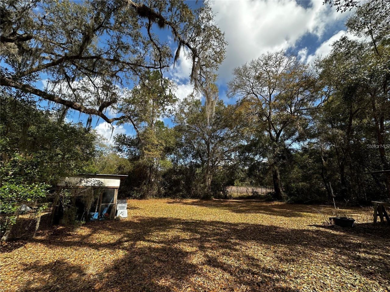 12212 NE 238th Terrace , Salt Springs, FL 32134 Photo