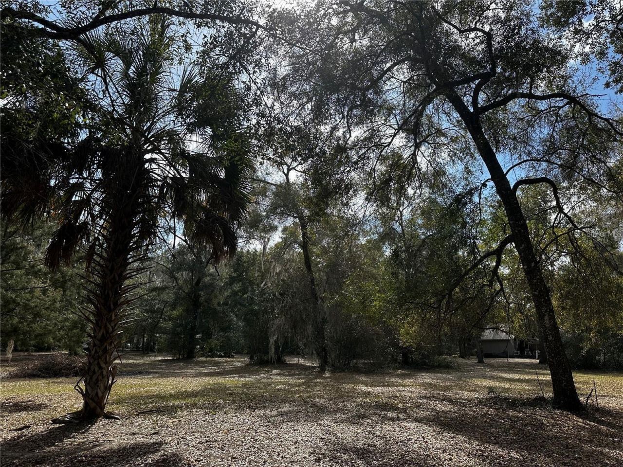 12212 NE 238th Terrace , Salt Springs, FL 32134 Photo