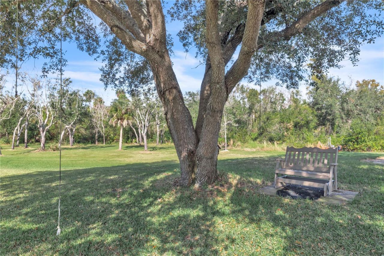 8553 SW Aviary Road , Arcadia, FL 34269 Photo