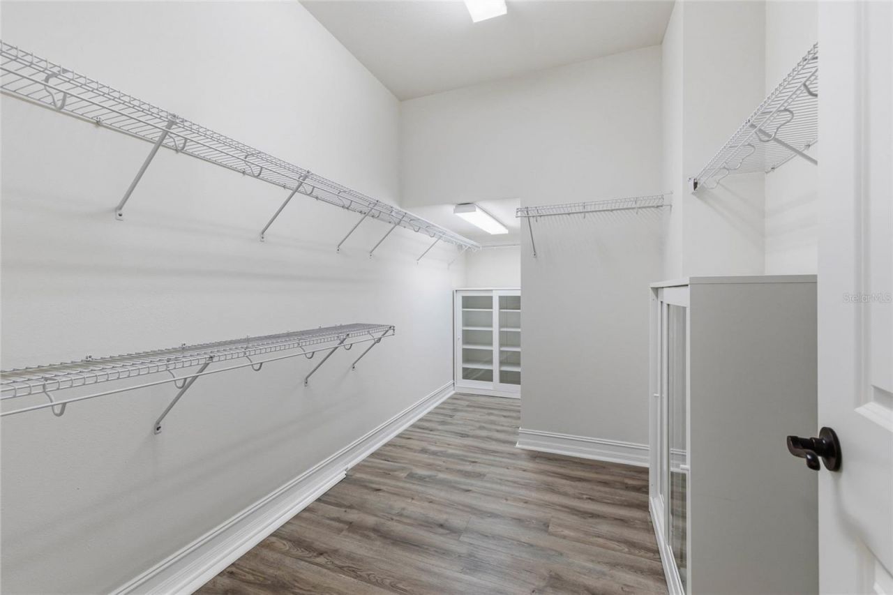 33140 Azalea Ridge Drive , Wesley Chapel, FL 33545 Photo