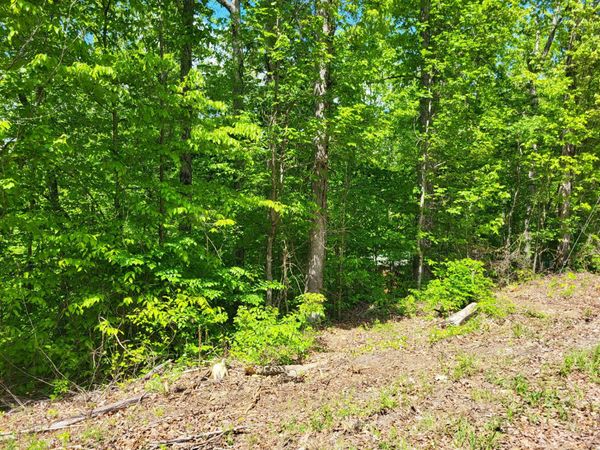 0A Red Ash Rd , Sugar Tree, TN 38380