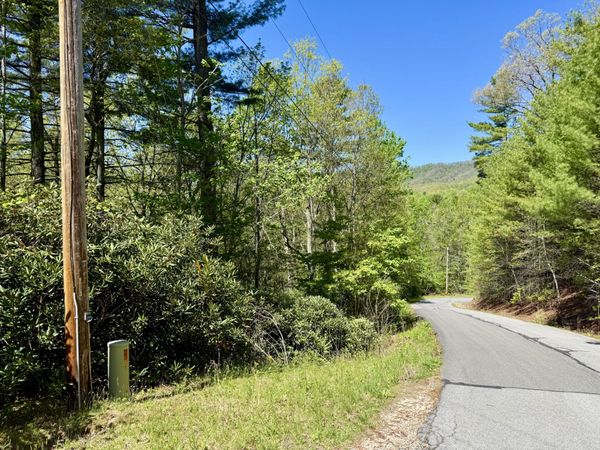 1 Sprucy Ridge Rd , Mountain City, TN 37683