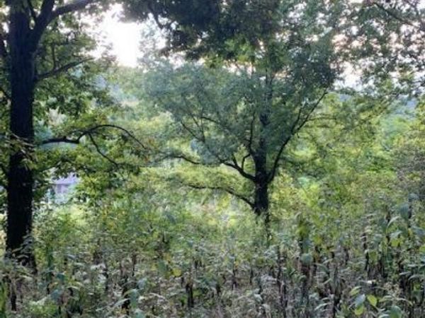 0 Cortner Hollow Road , Shelbyville, TN 37160