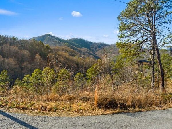 0 Sugar Maple Loop Lot #1 Rd , Sevierville, TN 37862