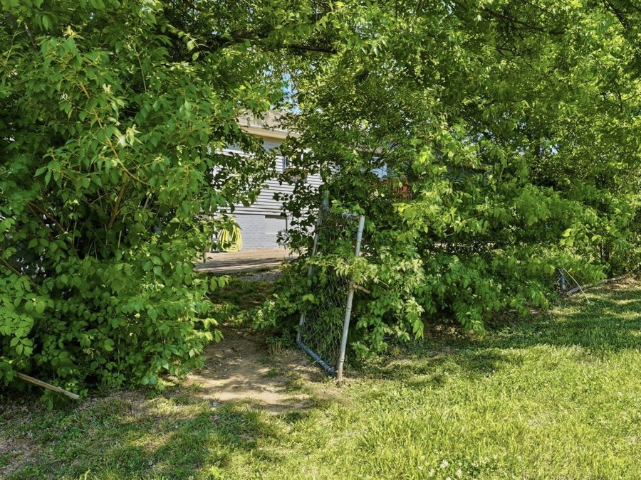 Property Image 33
