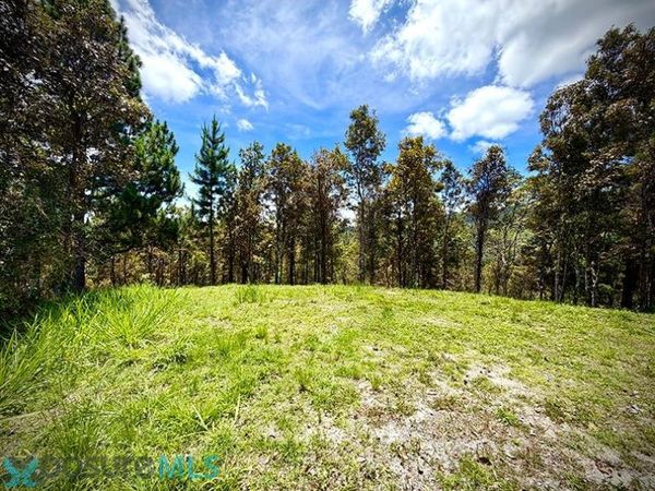 738 CARR PR, Cayey, PR 00736