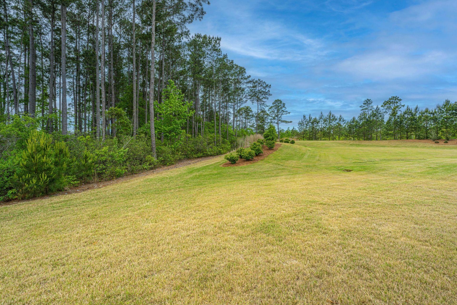 410 Elm Cove Way Photo 37
