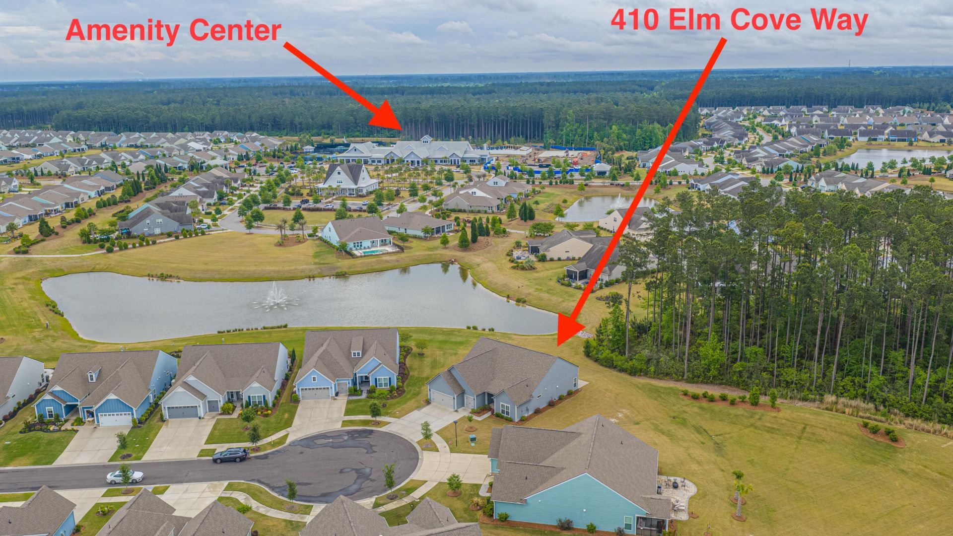 410 Elm Cove Way Photo 42