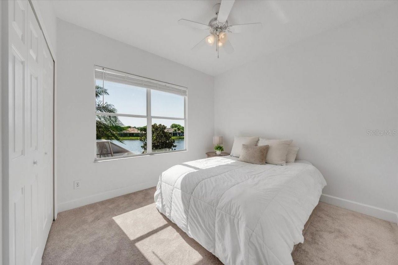 14718 San Marsala Court, Tampa, FL 33626 Photo
