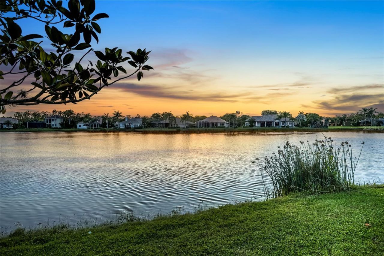 14718 San Marsala Court, Tampa, FL 33626 Photo