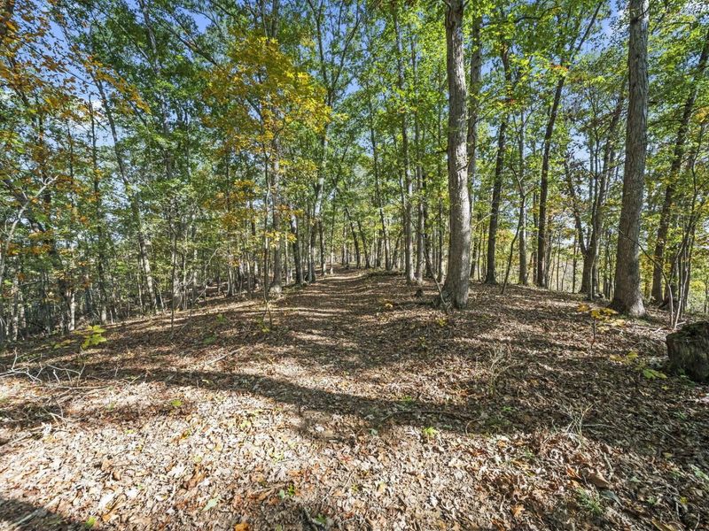 6607 State Route 140, Wheelersburg, OH 45694 Photo 58