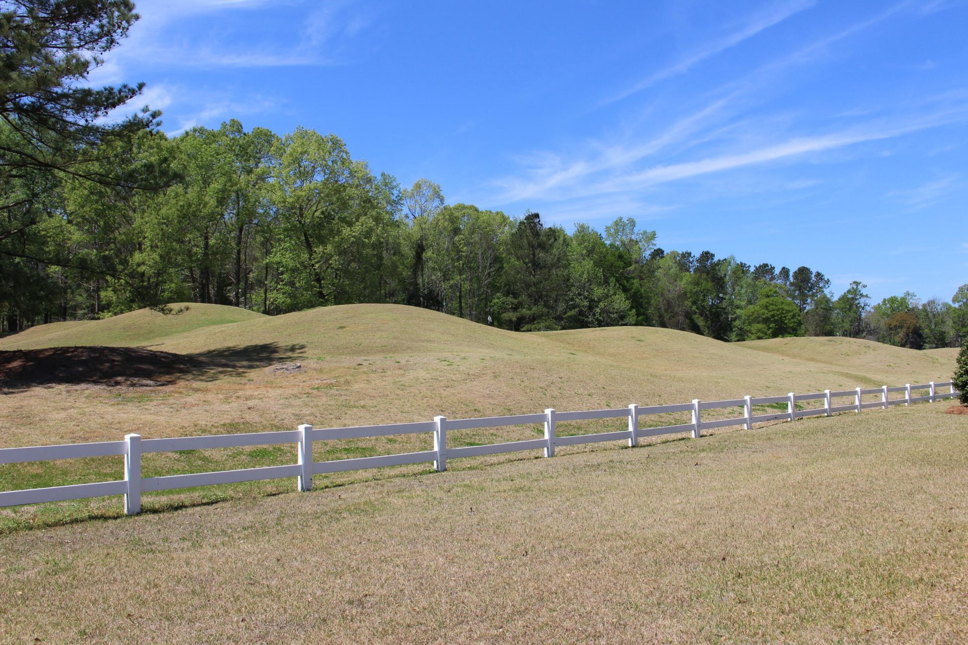 104 Kings Court Photo 40