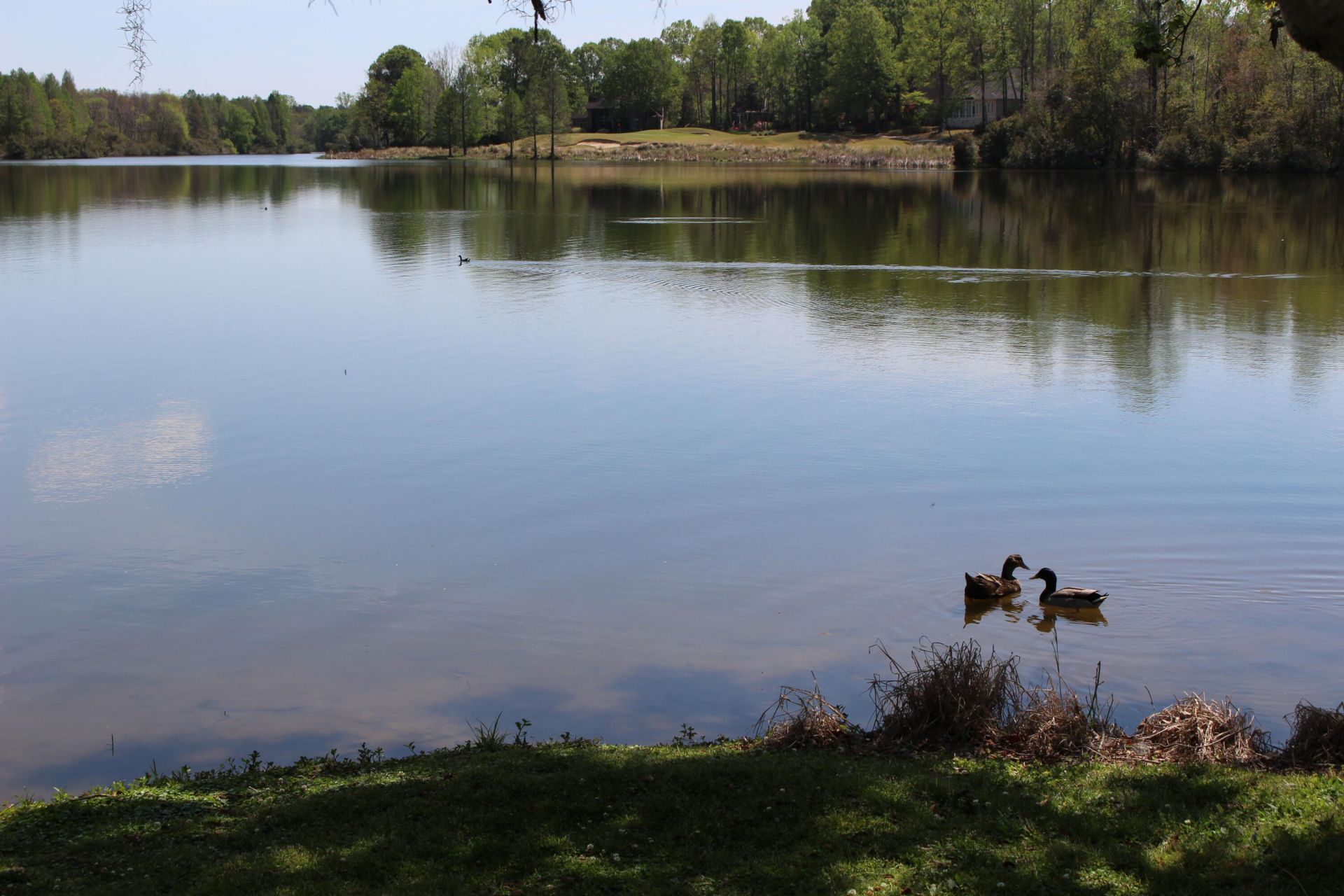 104 Kings Court Photo 41