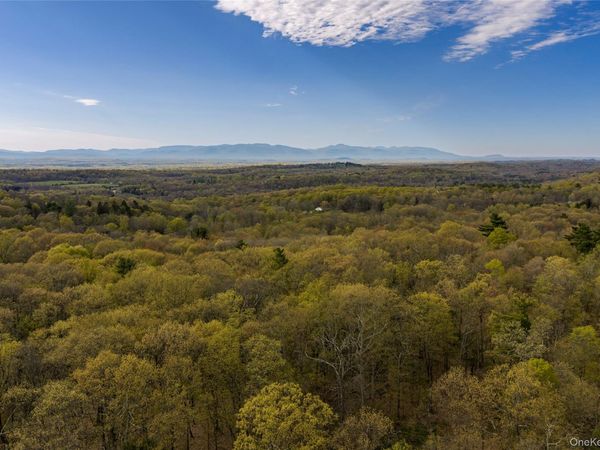 Schultz Hill Road , Staatsburg, NY 12580