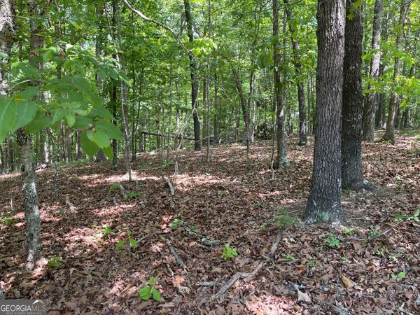 LOT 2& 3 CHALCREST Way, Cave Spring, GA 30124