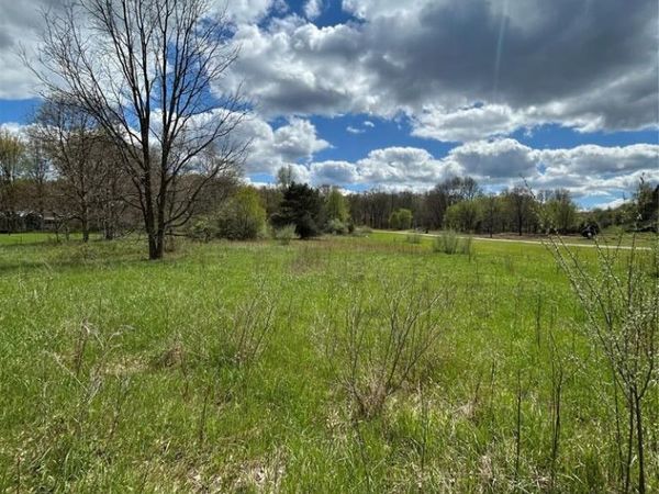Parcel 2 E Coon Lake Rd , Genoa Twp, MI 48843