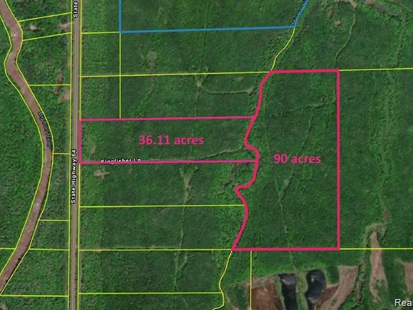32954 KINGBIRD Lane , Carp Lake Twp, MI 49953
