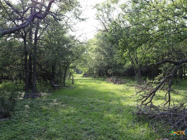 320 Hillcrest Lane , Dale, TX 78616