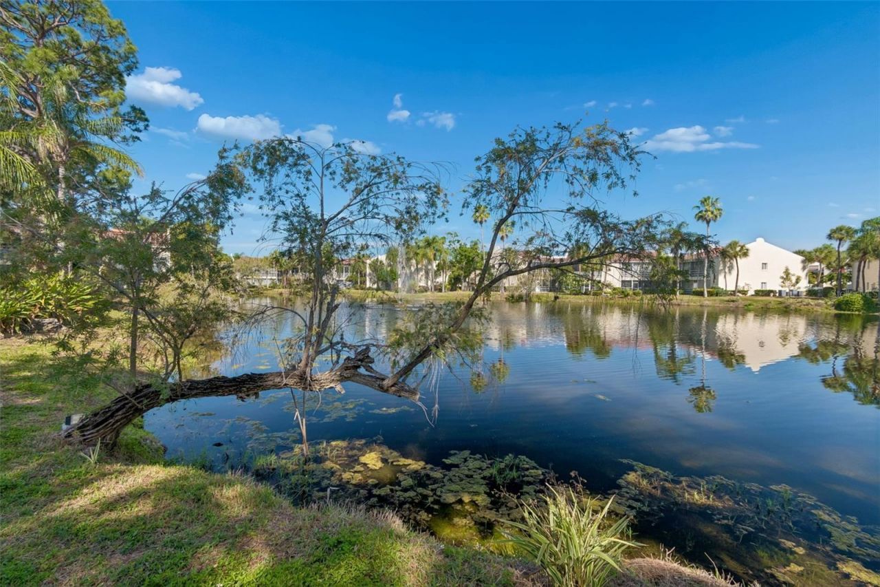 6101 34th Street W, Unit 10H, Bradenton, FL 34210 Photo